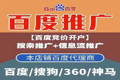 SEM代理服务：案例分享，效果显著